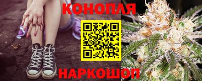 прущие крисы Малгобек