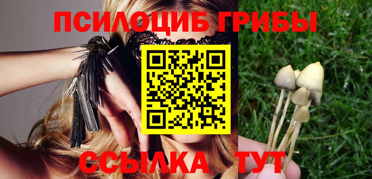 Георгиевск  дарнет шоп  Вход с VPN  Псилоцибиновые грибы Cubensis 