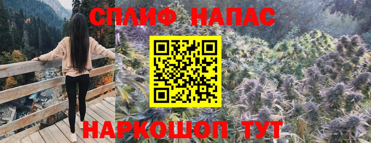 Бошки Шишки ГИДРОПОН  Вход с VPN  Каннабис Bruce Banner  Георгиевск 